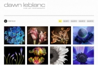 http://www.dawnleblanc.com/ http://www.dawnleblanc.com/
