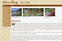 http://www.elainetweedy.com http://www.elainetweedy.com
