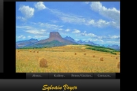 http://www.sylvainvoyer.com http://www.sylvainvoyer.com